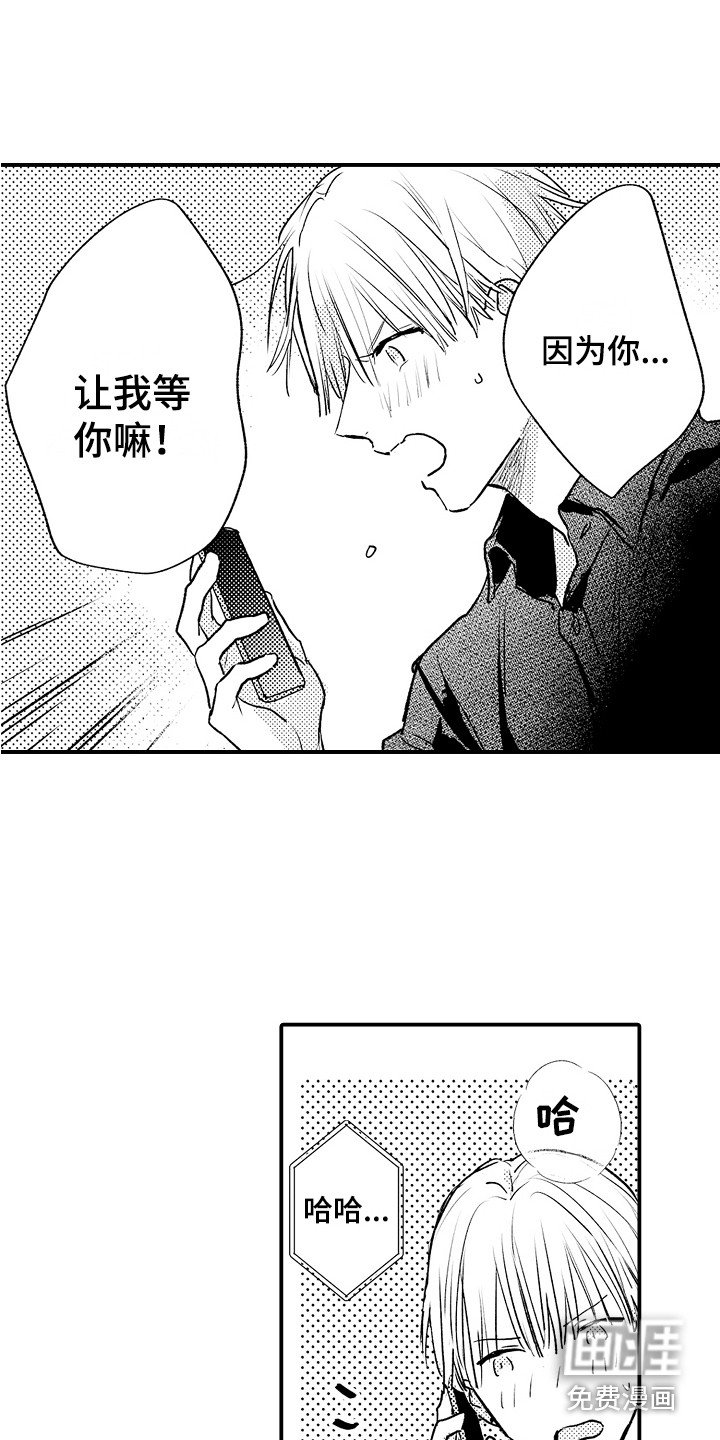 第20章：电话