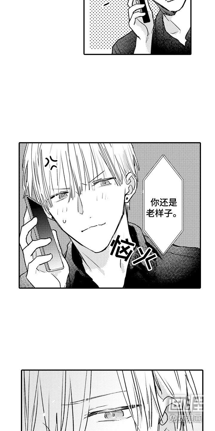 第20章：电话