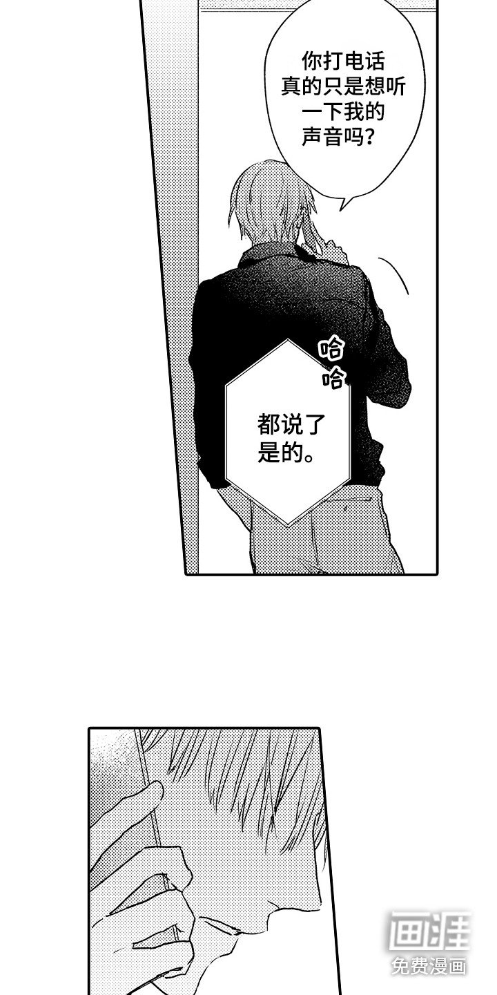 第20章：电话