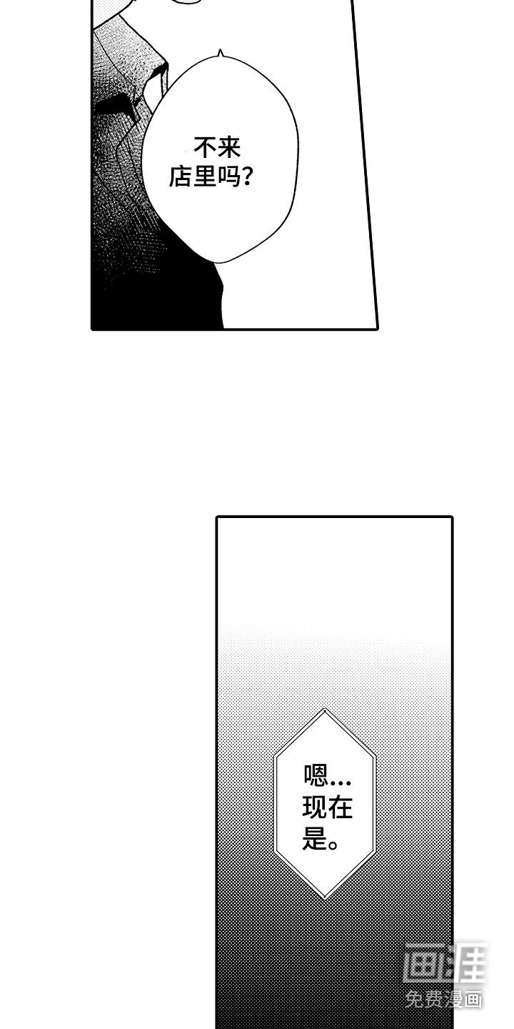 第20章：电话