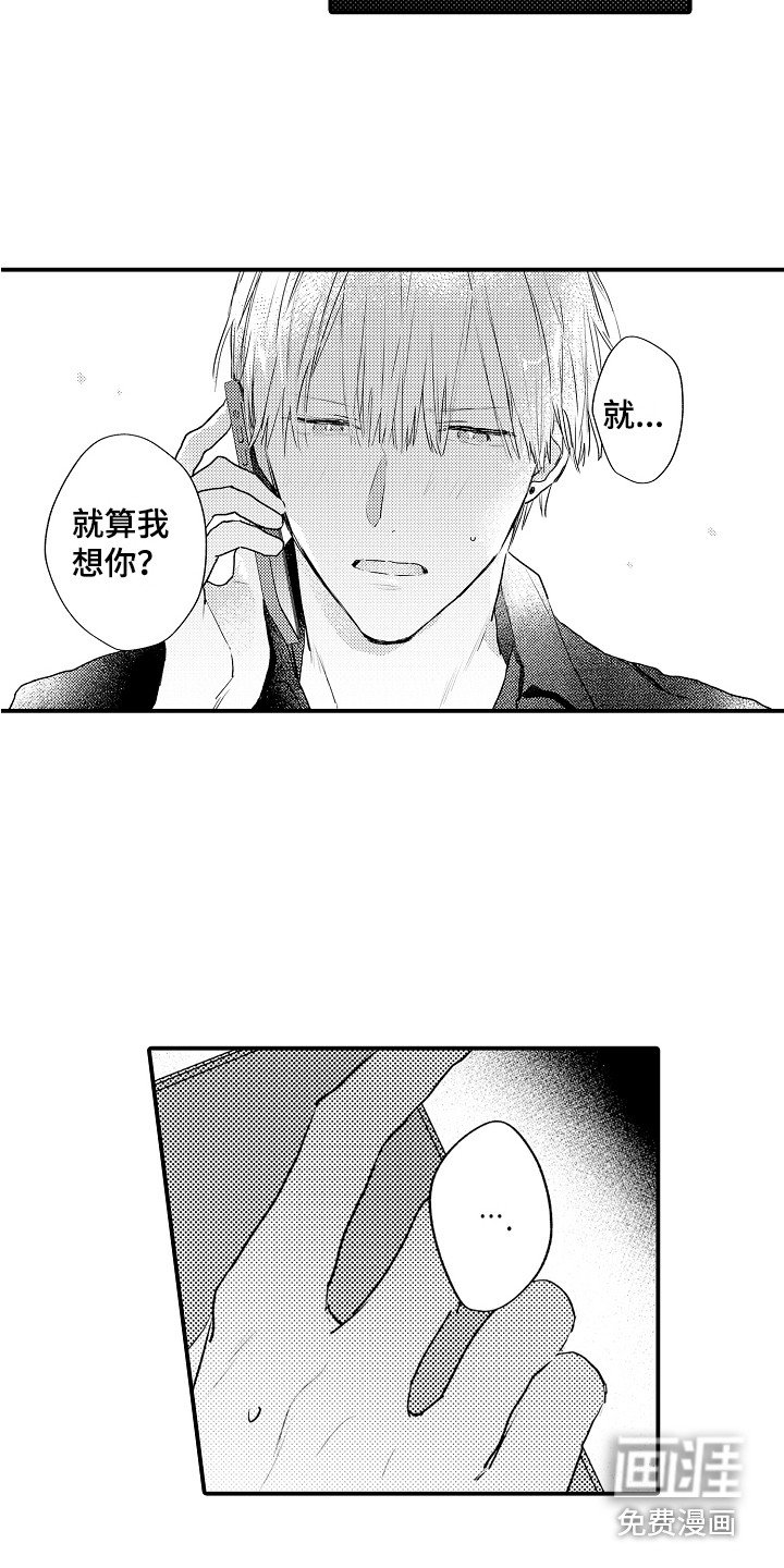 第20章：电话