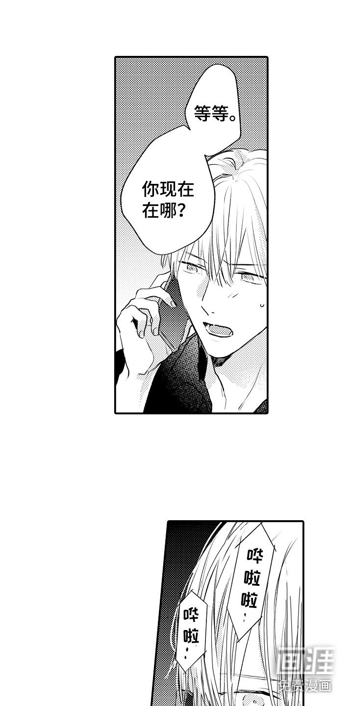 第20章：电话