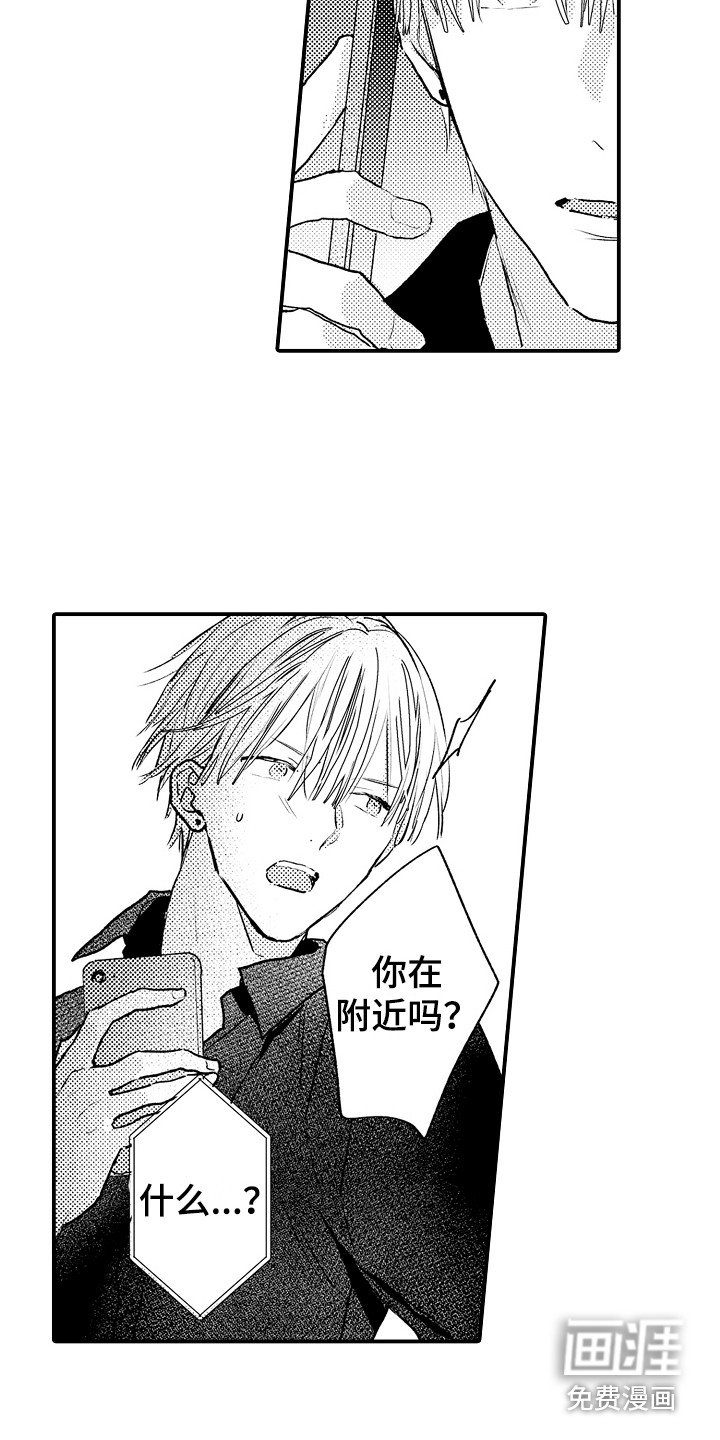 第20章：电话