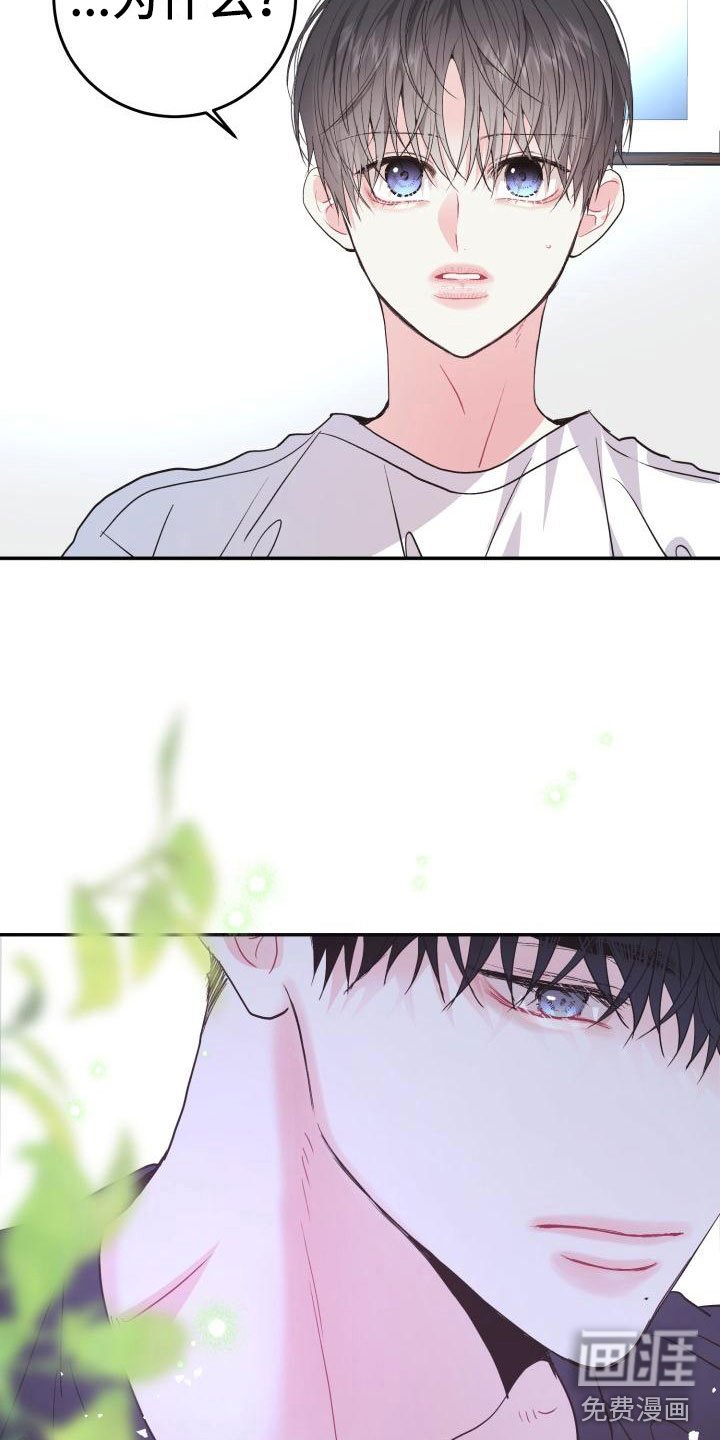 第13章：心动