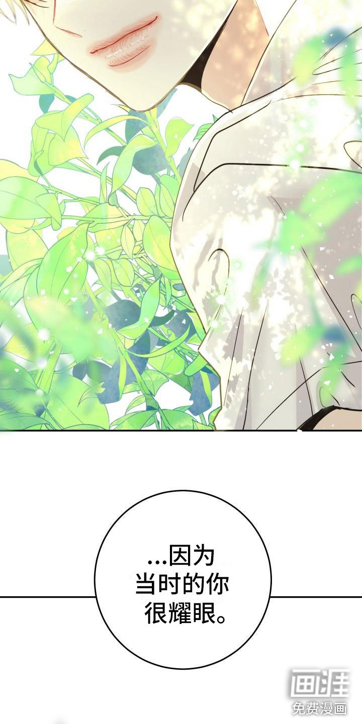 第13章：心动