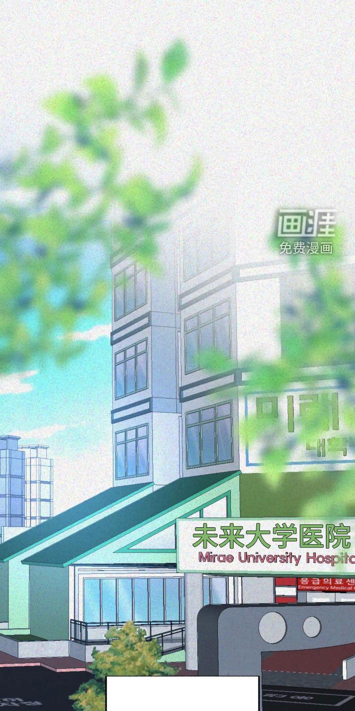 第17章：同情的眼神