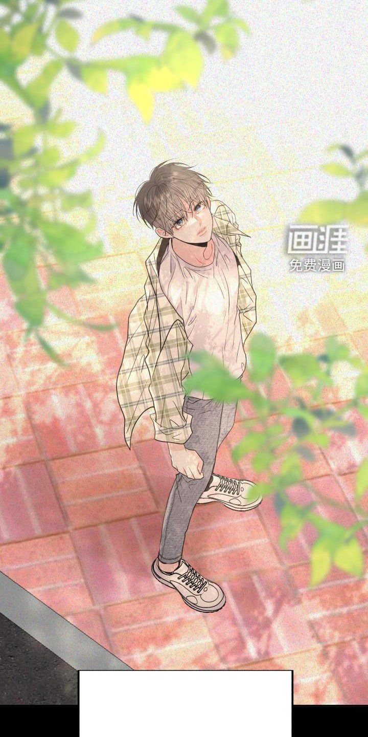第17章：同情的眼神