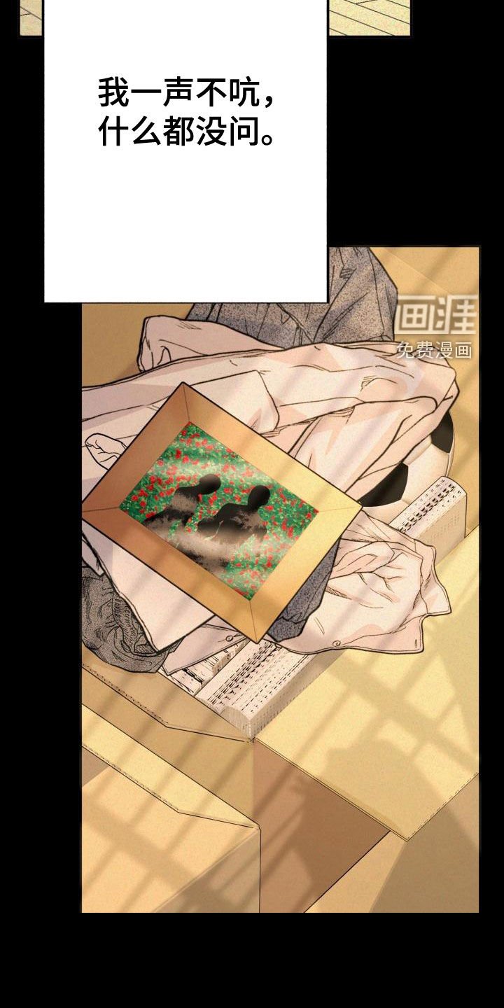 第17章：同情的眼神