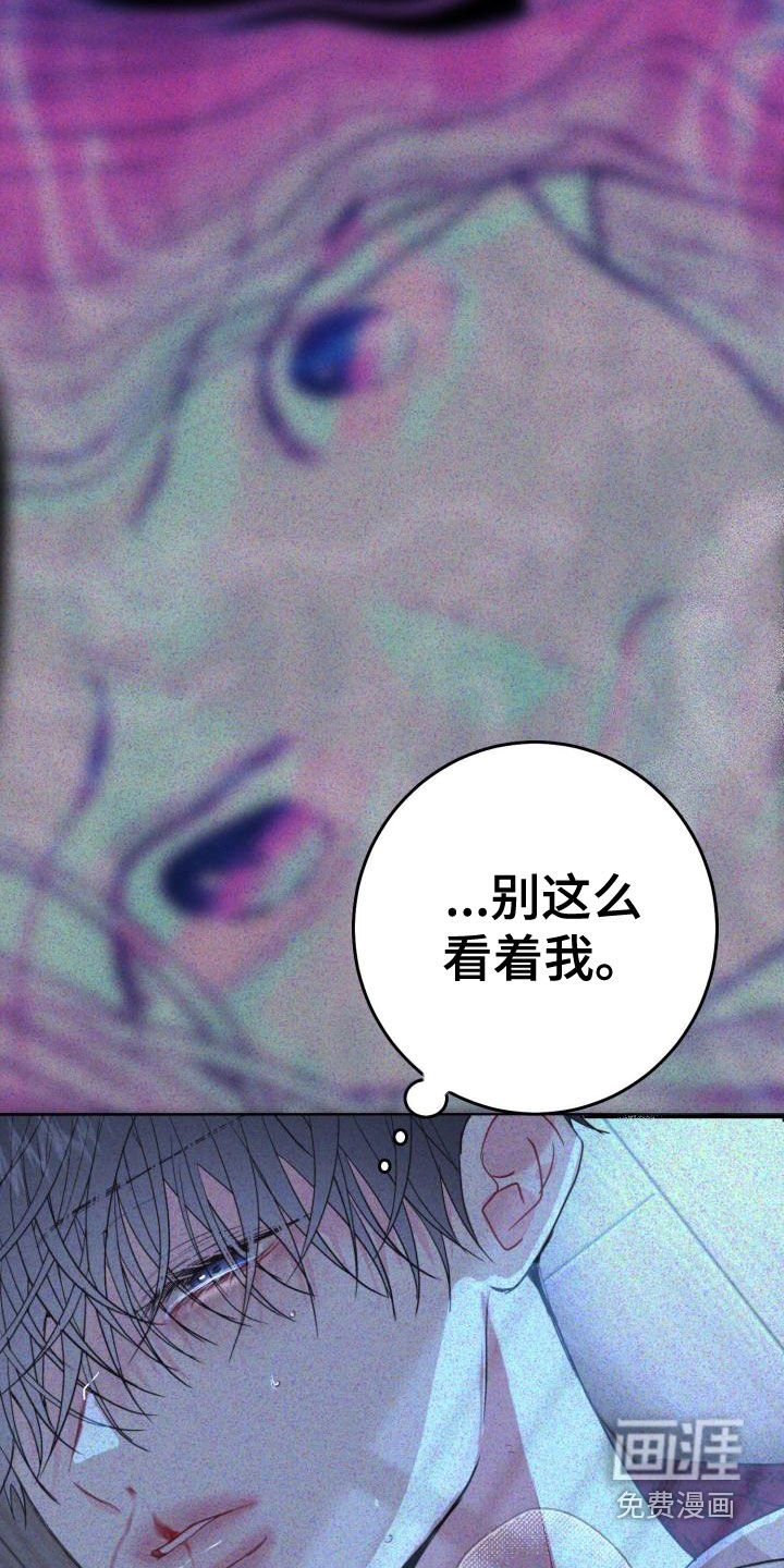 第17章：同情的眼神
