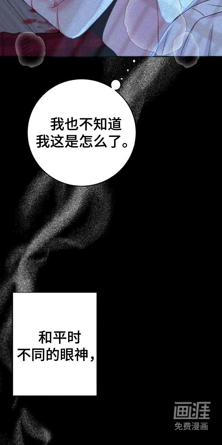 第17章：同情的眼神