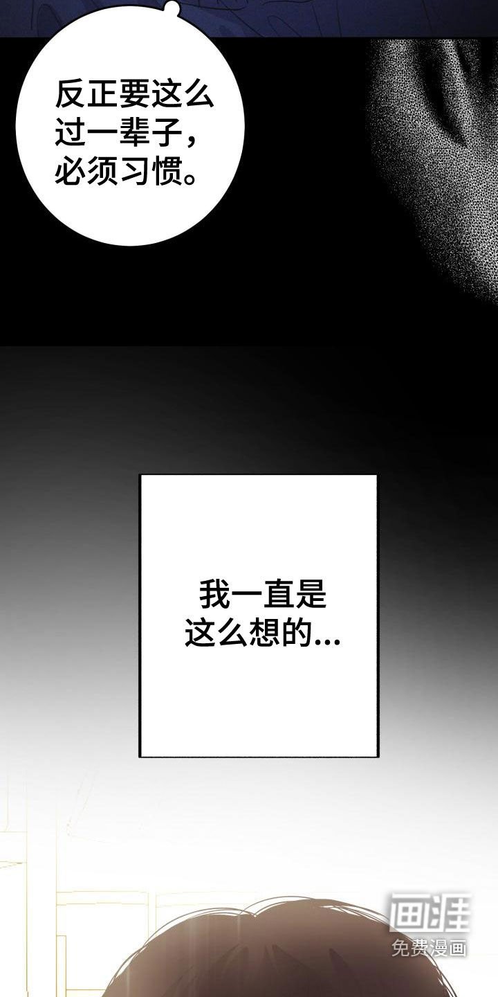 第17章：同情的眼神