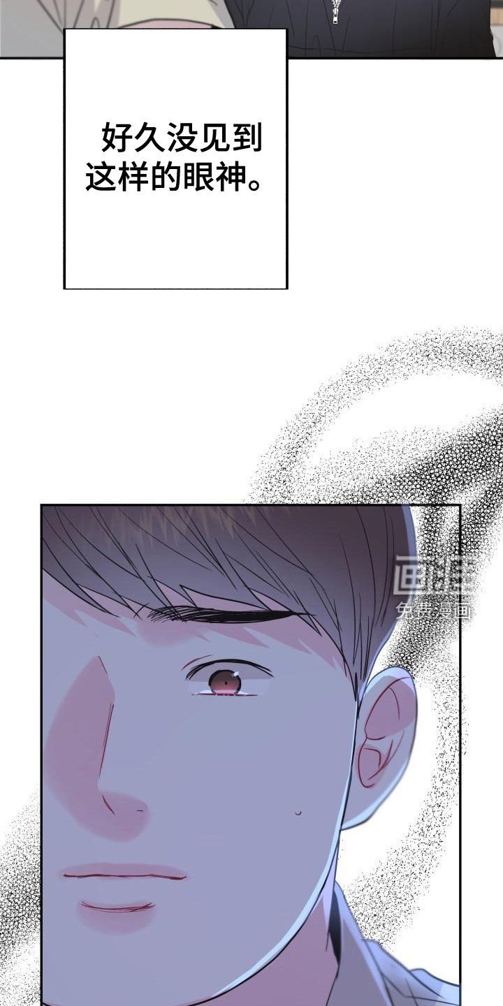 第17章：同情的眼神