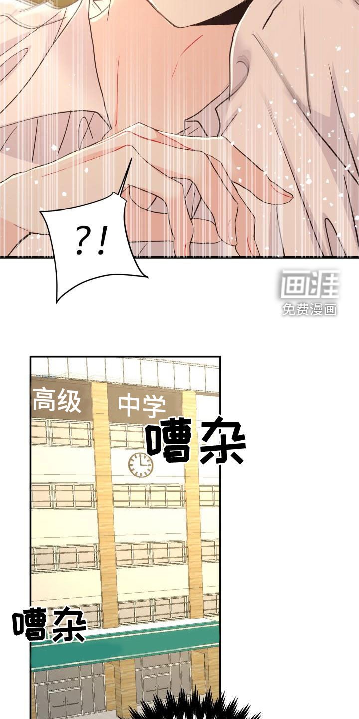 第19章：真实的梦