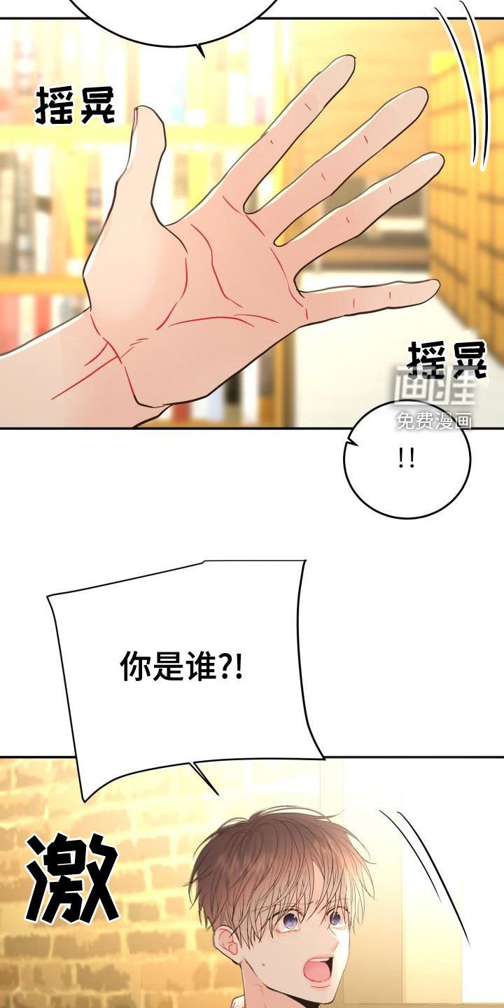 第19章：真实的梦