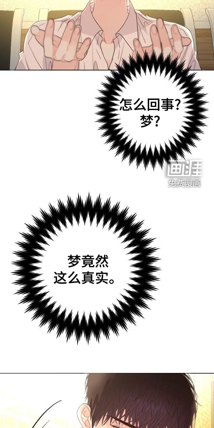 第19章：真实的梦