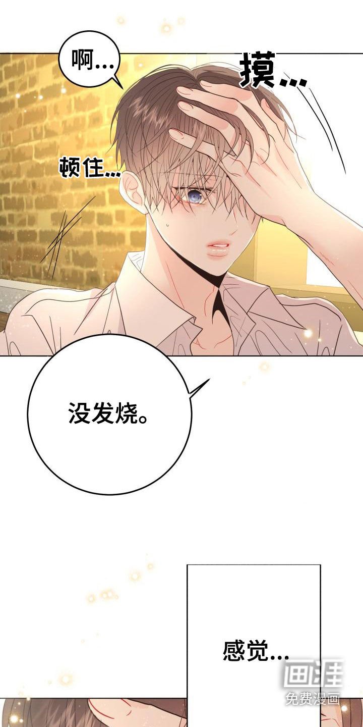 第19章：真实的梦