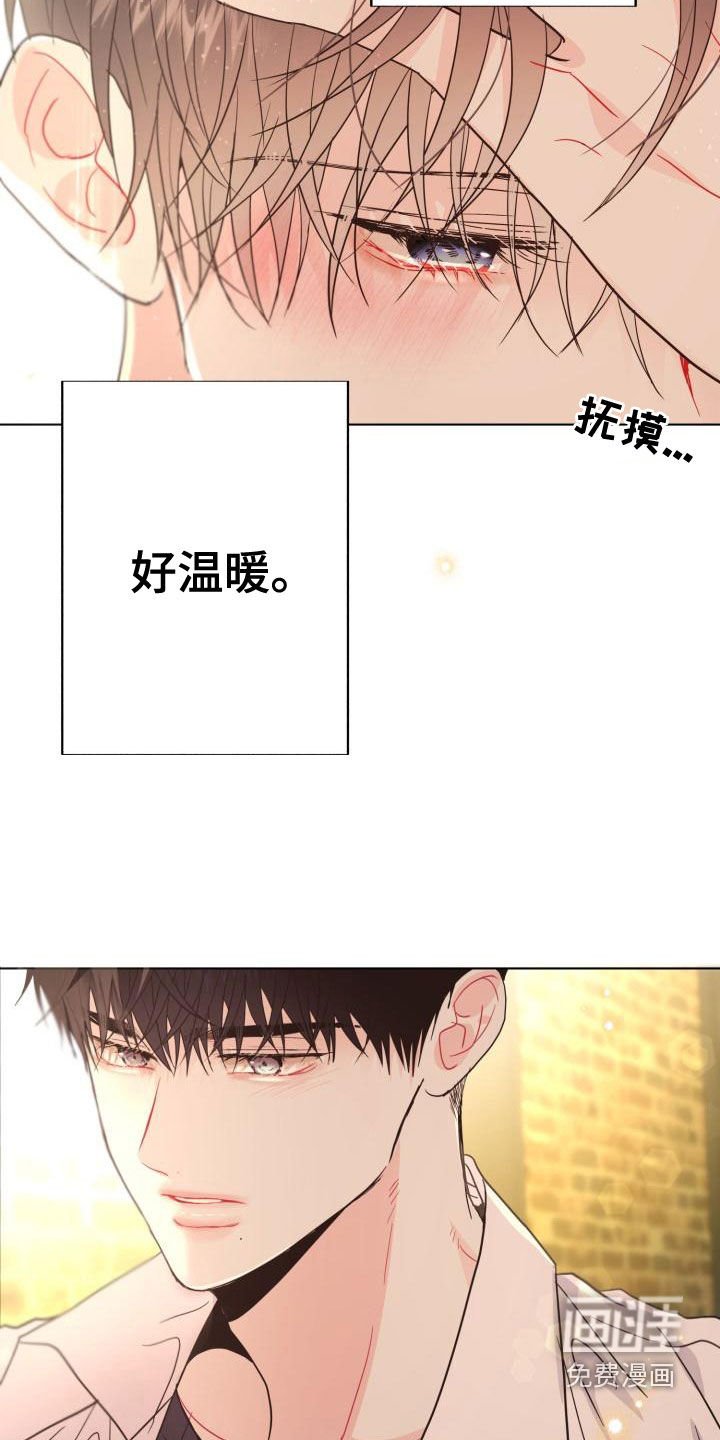 第19章：真实的梦