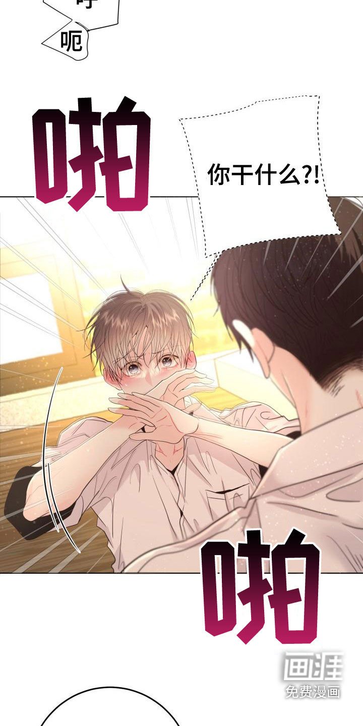 第19章：真实的梦