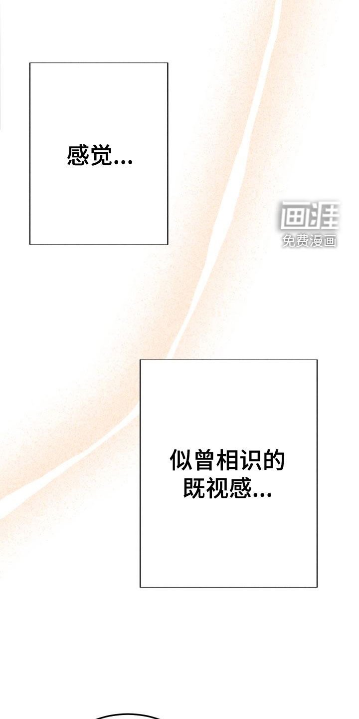 第20章：都怪谁