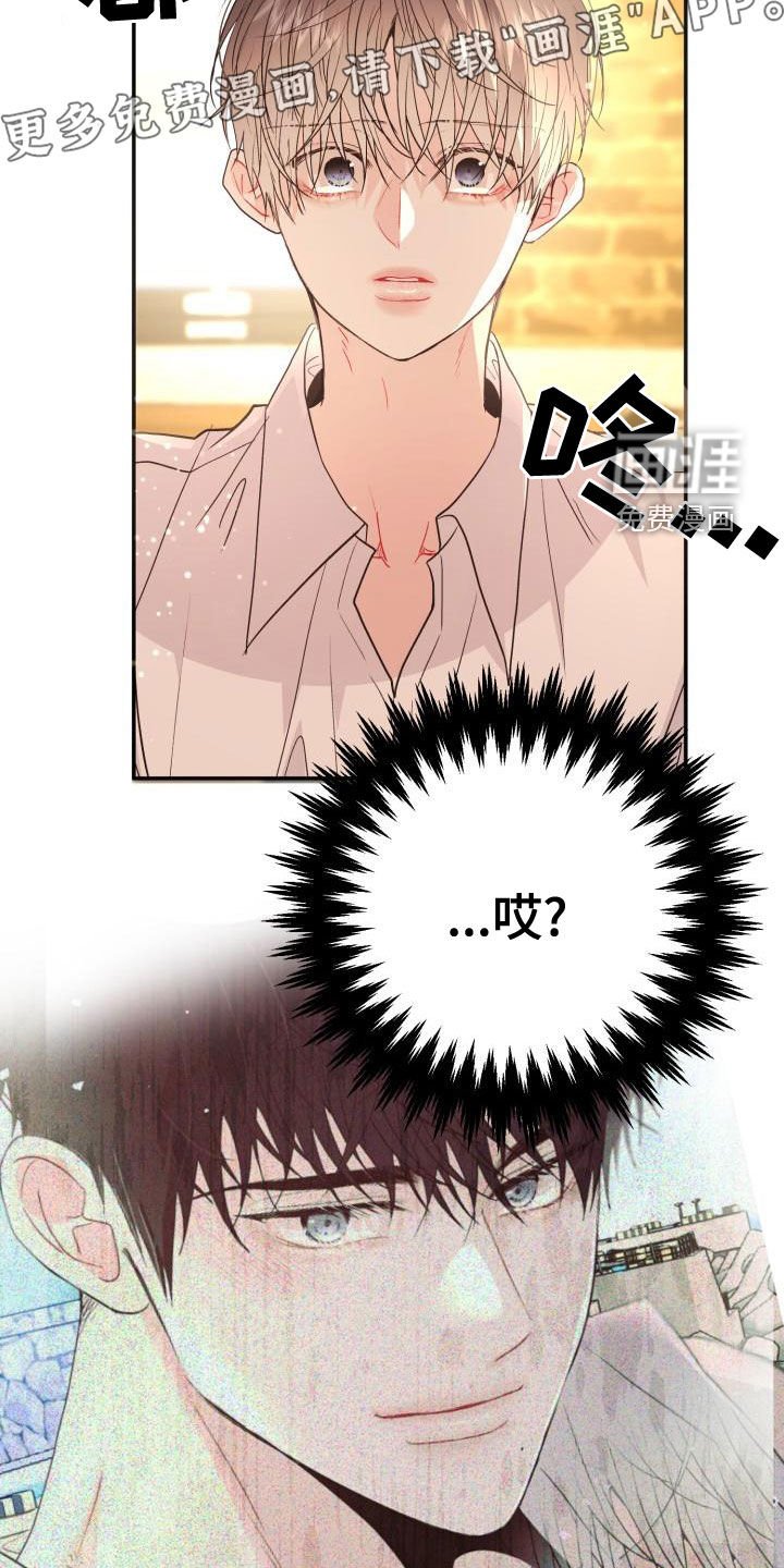 第20章：都怪谁