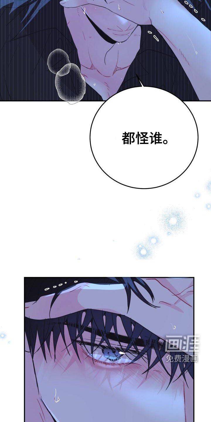 第20章：都怪谁