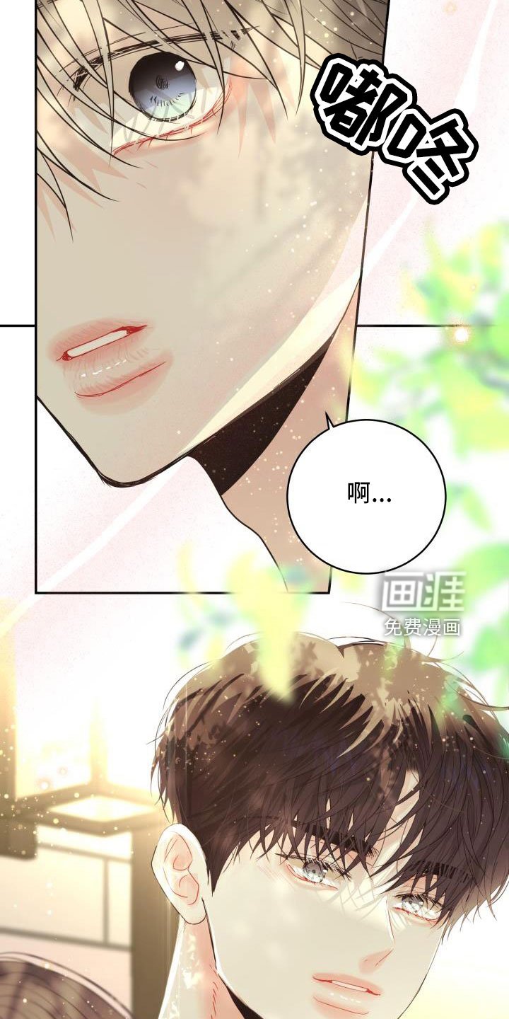 第28章：非常适应