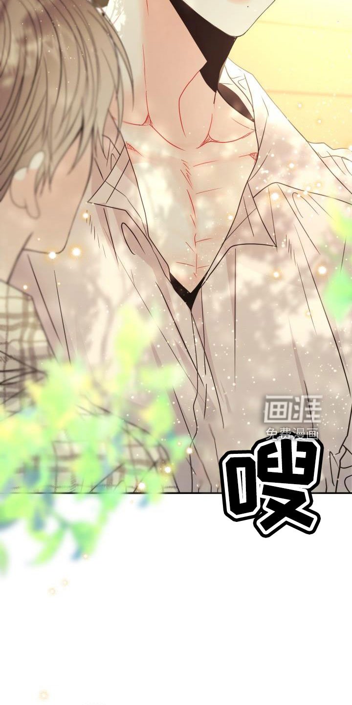 第28章：非常适应