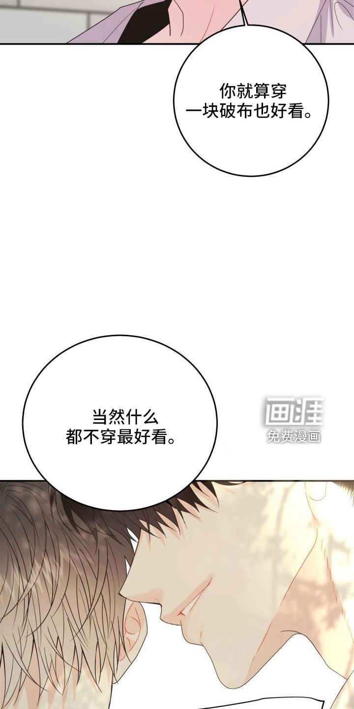 第28章：非常适应