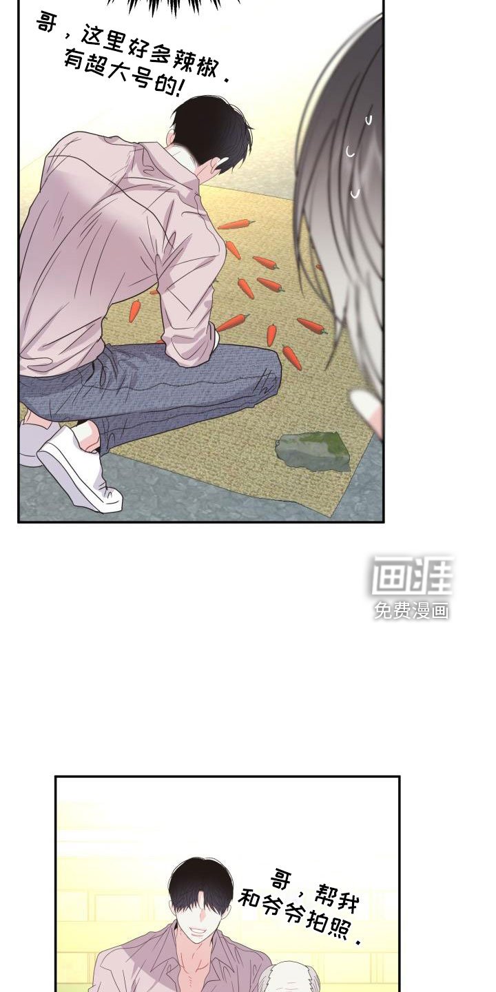 第28章：非常适应