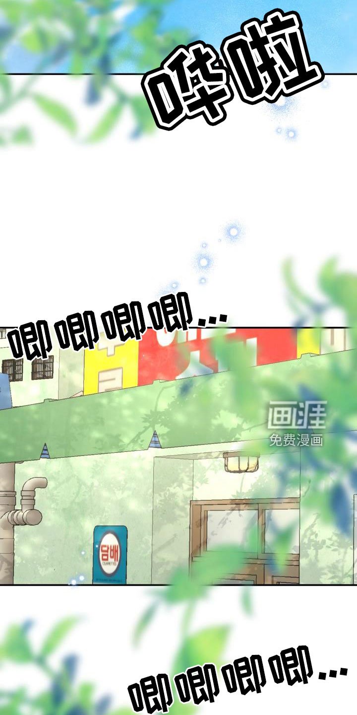 第28章：非常适应
