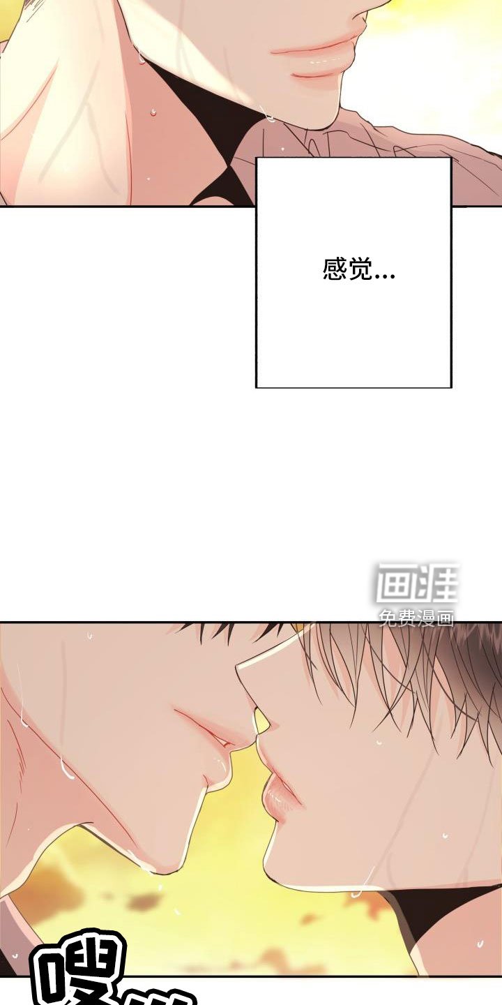 第31章：大海和你真美