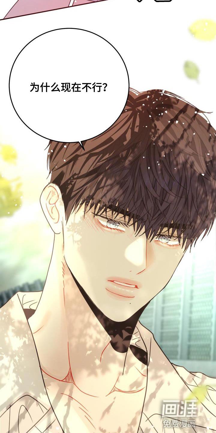 第33章：什么事都不会发生