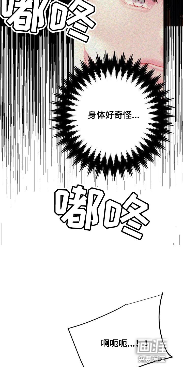 第33章：什么事都不会发生
