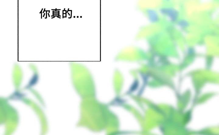 第35章：再试一试