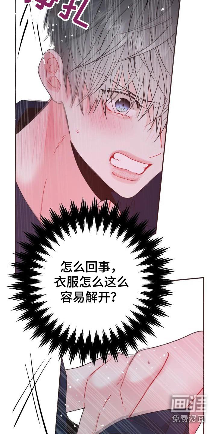 第37章：试穿
