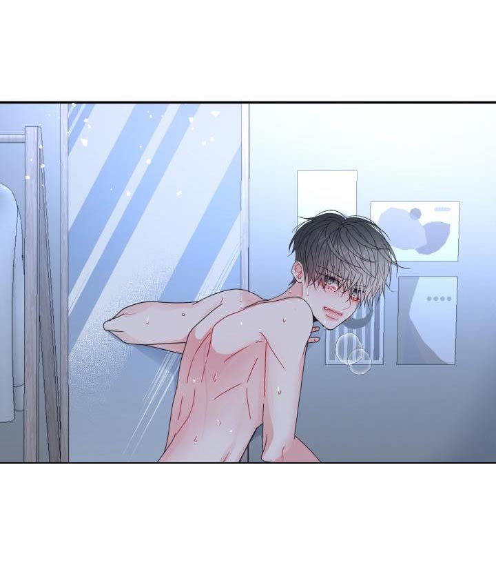 第44章：希望一眼就认出是我