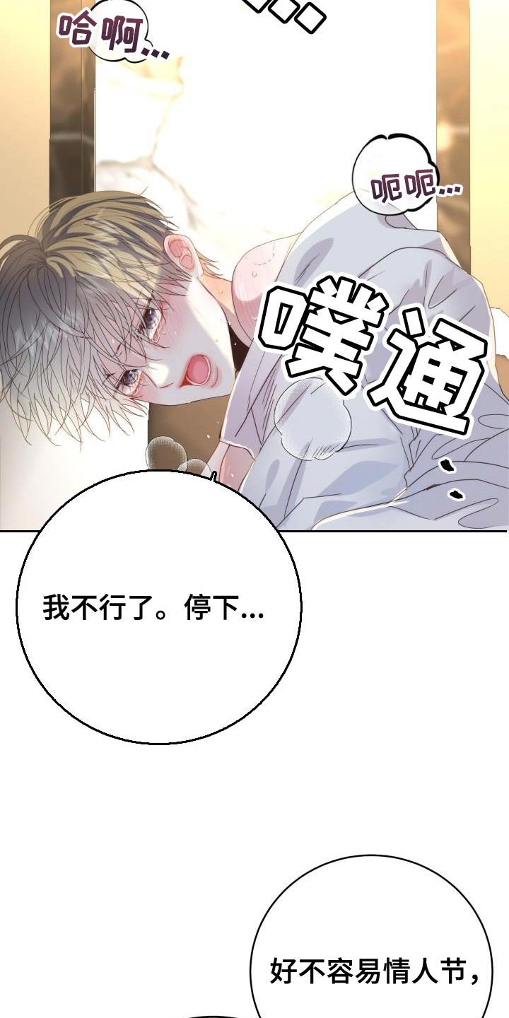 第51章：【番外】围巾