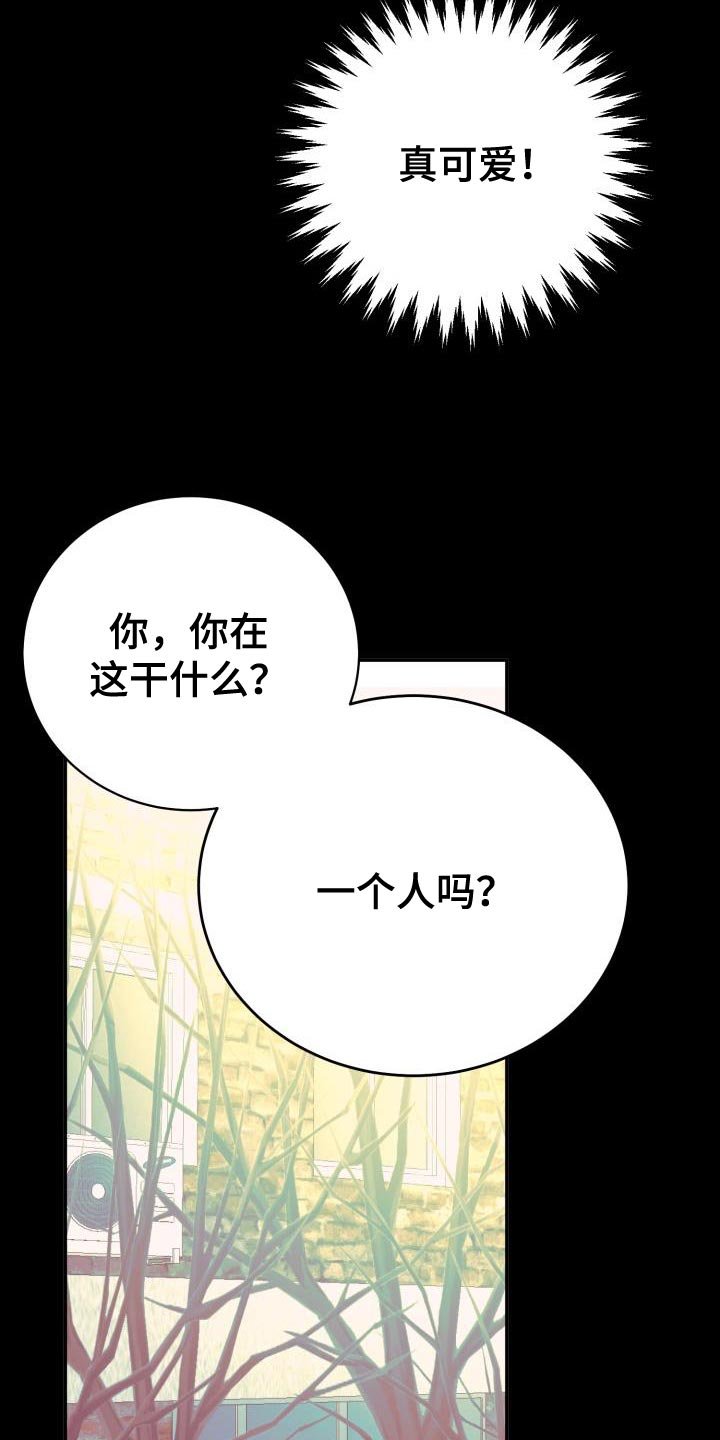 第51章：【番外】围巾
