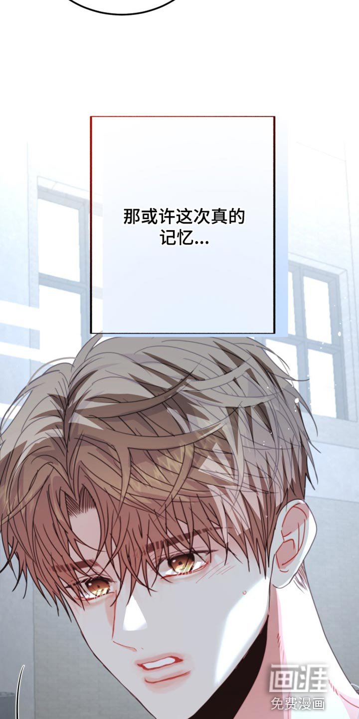 第64章：【番外】你认错人了