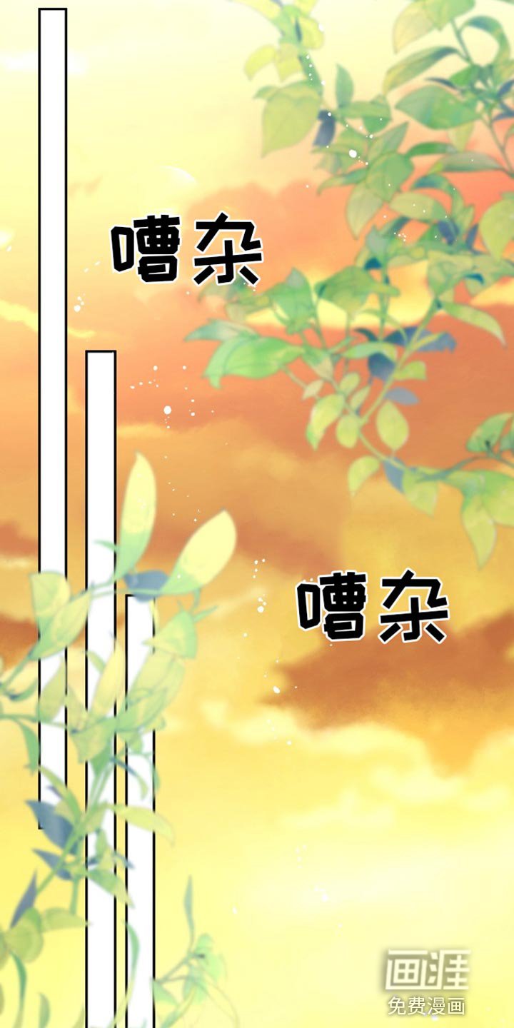 第67章：【番外】期待