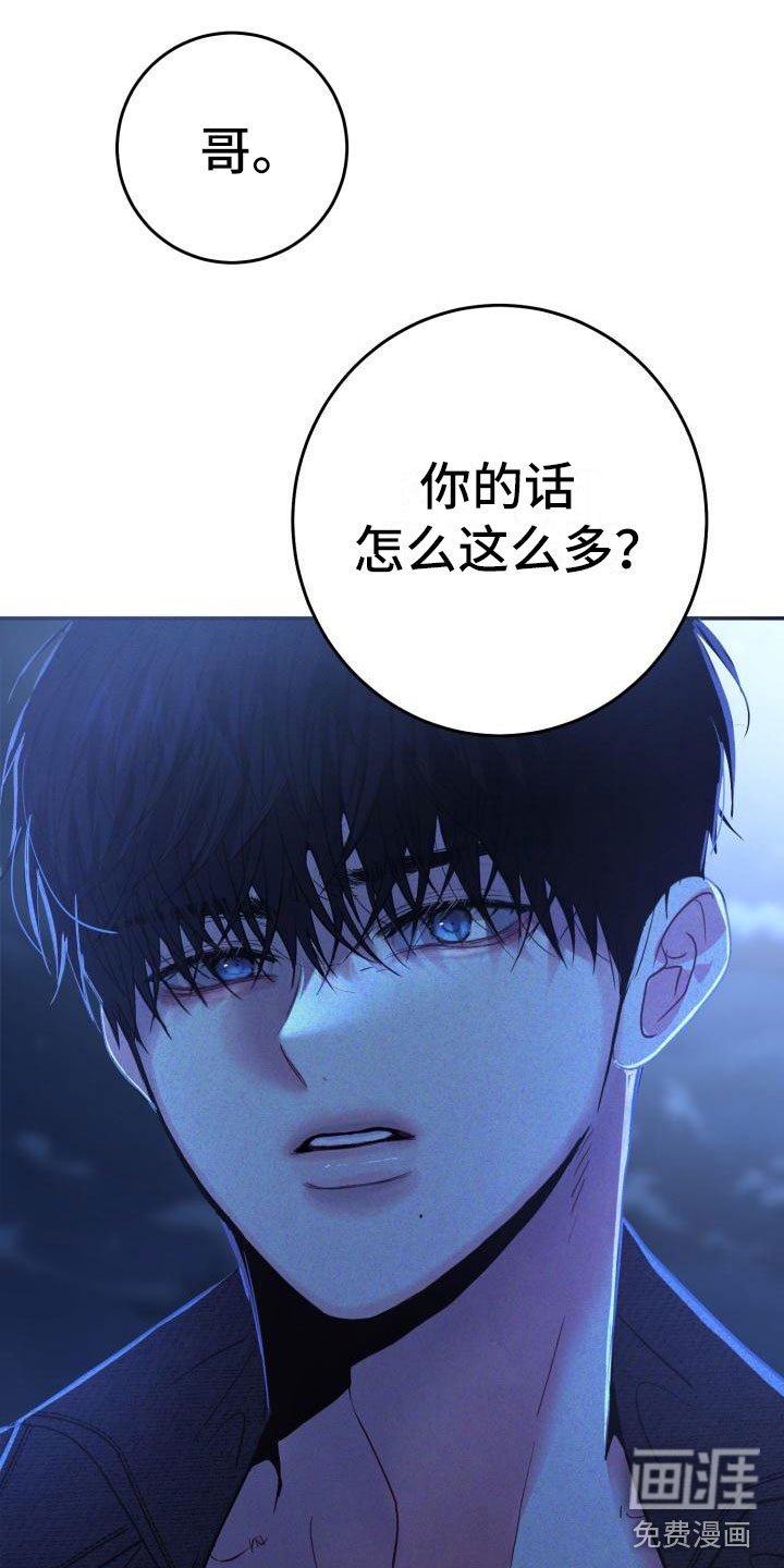 第8章：交往吗？
