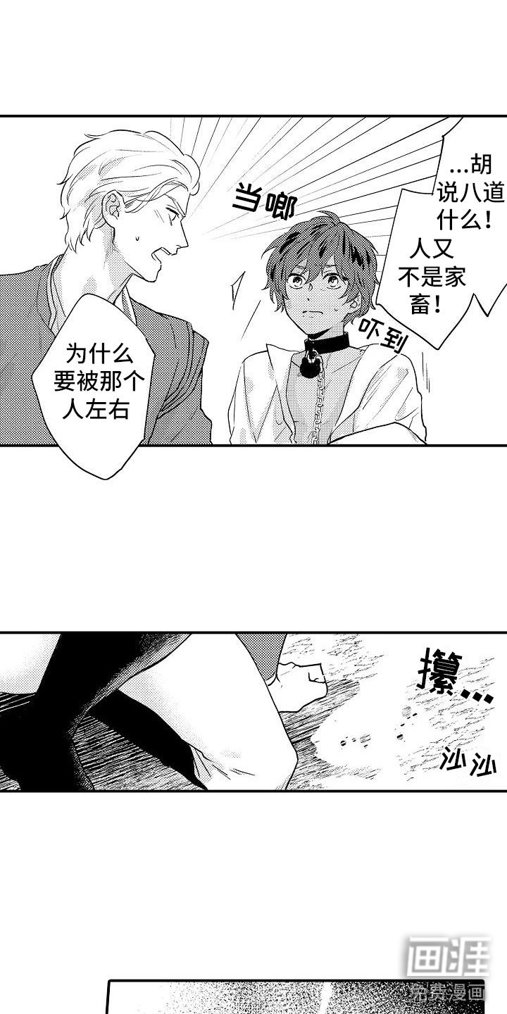 第10章：给你自由