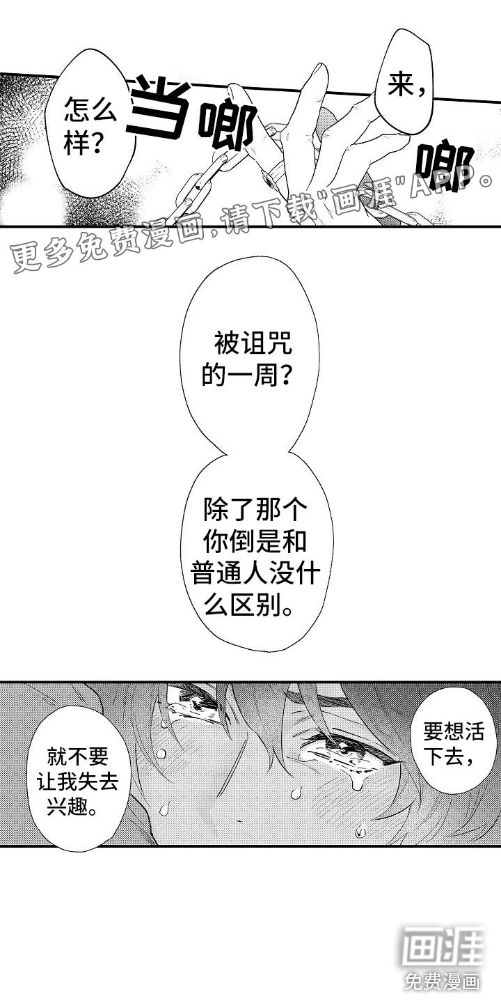 第12章：魔女
