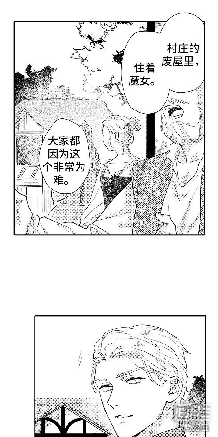 第12章：魔女