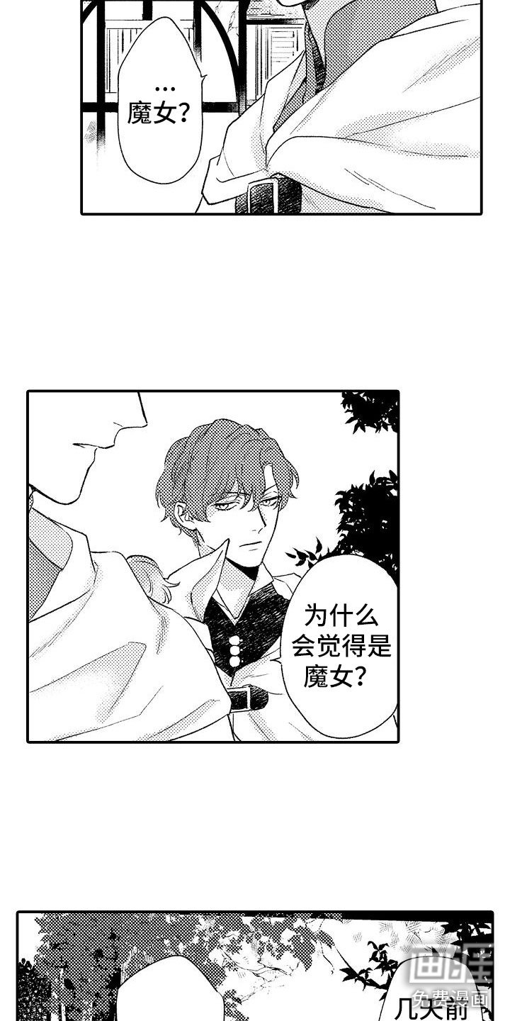 第12章：魔女