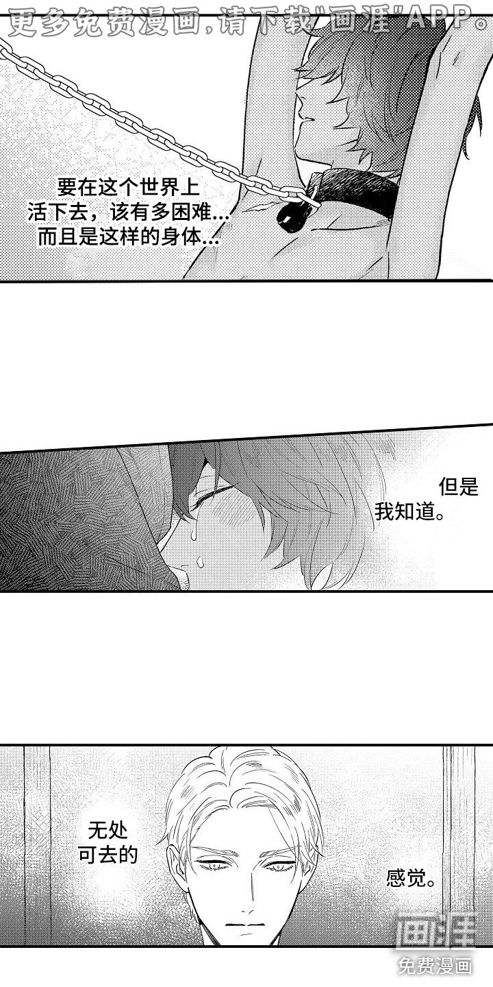 第15章：感动