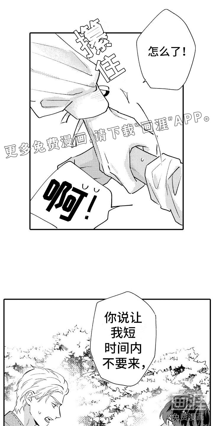 第17章：温柔的人