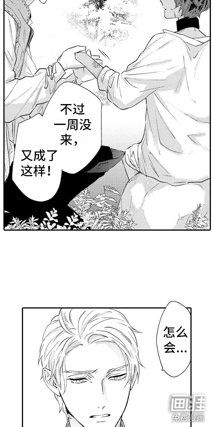 第17章：温柔的人