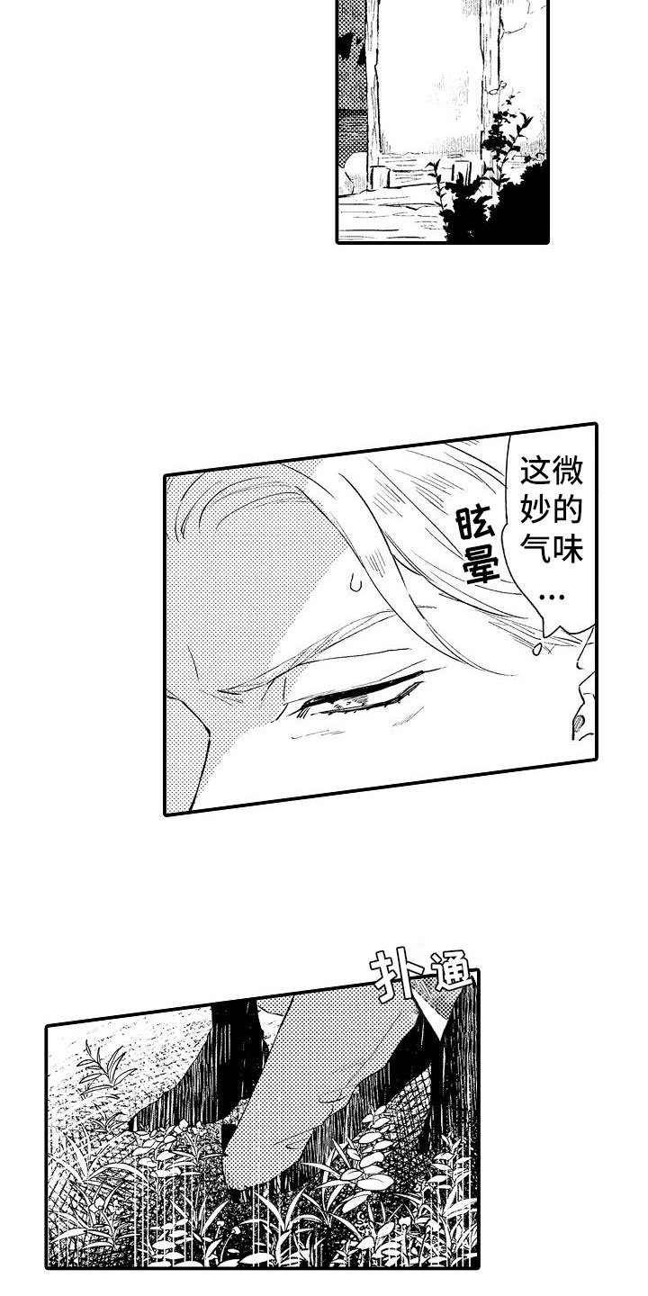 第2章：好奇偷看
