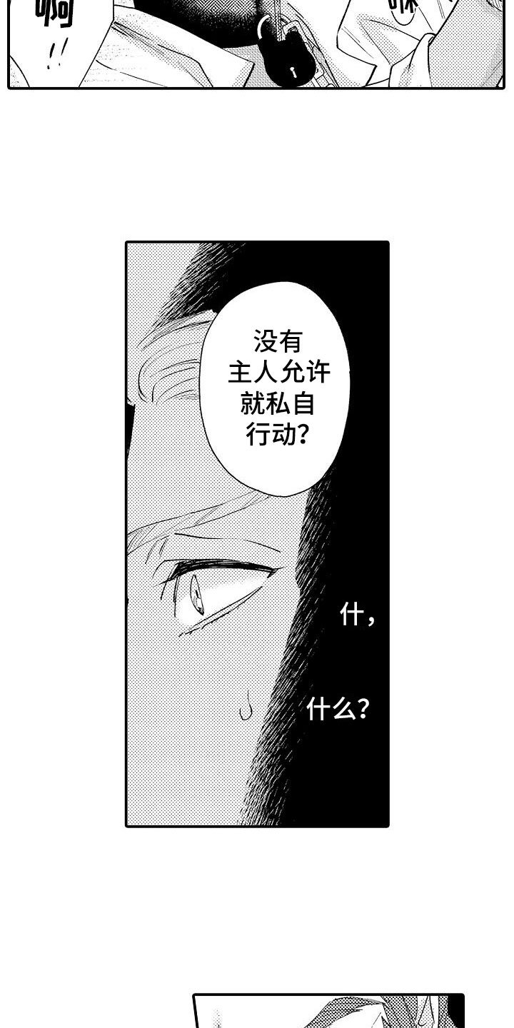 第2章：好奇偷看